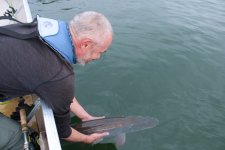 IMG_2326 (1).jpeg