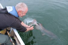 IMG_2327 (1).jpeg