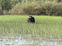 IMG_3653.jpeg