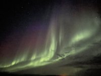 IMG_3747.jpeg