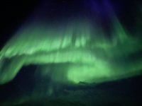 IMG_3748.jpeg