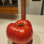 20240906_225734.jpg