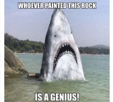 IMG_7427.jpeg