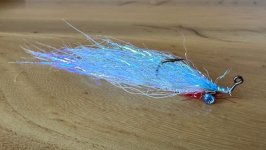 IMG_0761.jpeg