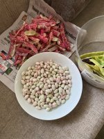 IMG_6263.jpeg