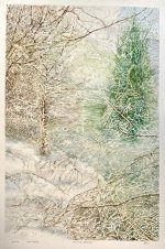 IMG_6268.jpeg