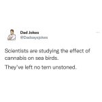 FB_IMG_1647469627843.jpg