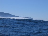IMG_1251 copy.JPG