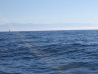 IMG_1249 copy.JPG