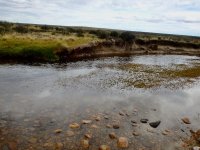 Patagonia stream 1 lie.jpeg