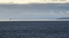 20220318_090545.jpg