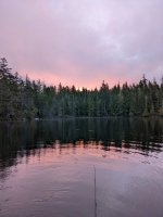 PXL_20220320_141619795.jpg