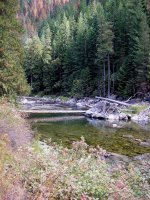 Bull trout lair.jpeg