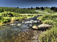 CC372966-6835-40DF-A4B5-008704B9DDF6.jpeg