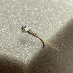 64345DB6-A003-4A94-8F89-28BE2C4DEC57.jpeg