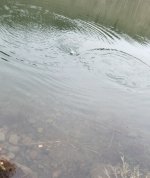 20220322_rodeo.jpg 20220322_rodeo.jpg