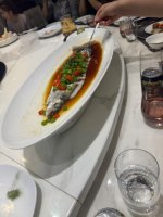 IMG_0134.jpeg IMG_0134.jpeg