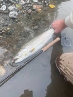 IMG_9761.jpeg