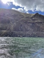 IMG_1800.jpeg