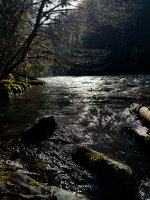 IMG_1046.jpeg
