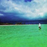 IMG_0219 3.jpeg