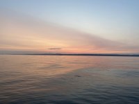 IMG_6702.jpg