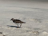 IMG_0656.jpeg