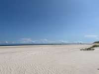 IMG_0610.jpeg