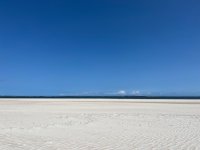 IMG_0609.jpeg