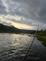 IMG_1421.jpeg IMG_1421.jpeg