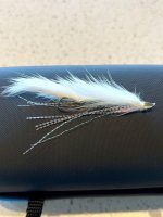 IMG_5307.jpeg