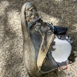 IMG_5881.jpeg