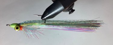IMG_0246.jpeg
