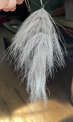 IMG_3760.jpeg
