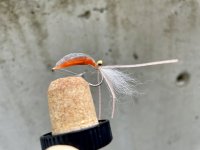 IMG_8121.jpeg