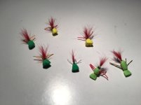 IMG_3963.jpeg