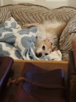 IMG_1106.jpeg