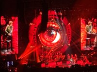 IMG_3078.jpeg
