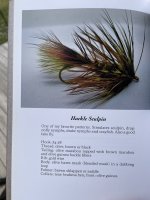 IMG_2944.jpeg