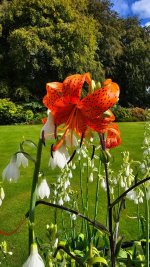 20240830_142455.jpg 20240830_142455.jpg