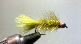 IMG_0119.jpeg