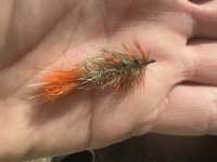 IMG_0676.jpeg