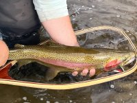 IMG_3370.jpg