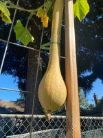 IMG_6297.jpeg