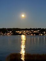 IMG_5322.jpeg