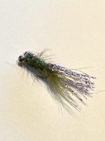 IMG_5321.jpeg