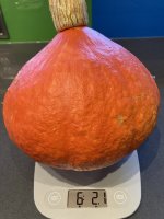 IMG_2284.jpeg