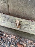 IMG_3793.jpeg