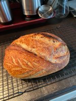 IMG_1870.jpeg IMG_1870.jpeg