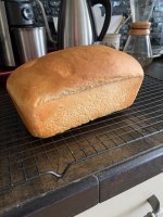 IMG_1861.jpeg IMG_1861.jpeg